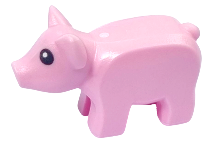 Piglet with Black Eyes and White Pupils Pattern