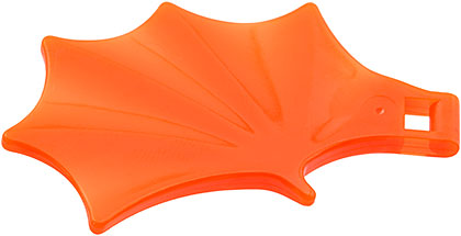 Dragon Wing