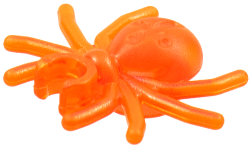 Spider with Round Abdomen and Clip