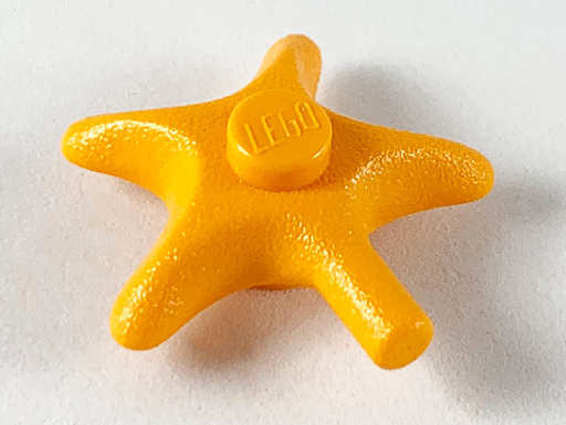 [P x112 (Medium Orange)] Starfish / Sea Star