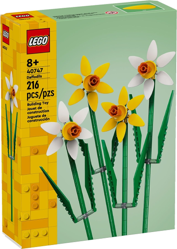 [S 40747-1 (No Colour)] Daffodils